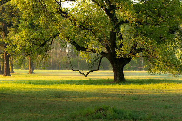 Красивый парк на веранде
.