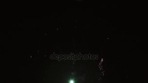 Fuochi d'artificio in un cielo buio — Video Stock