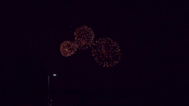 Focuri de artificii pe cerul nopții — Videoclip de stoc