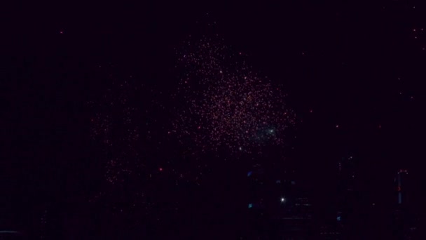 Fuochi d'artificio nel cielo notturno — Video Stock