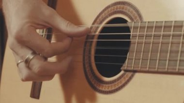 Elinde bir gitar gitarist
