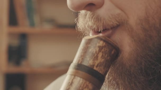 肖像的音乐家演奏竖笛 — 图库视频影像