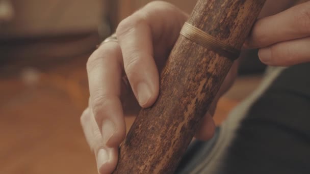 手中的音乐家演奏竖笛 — 图库视频影像