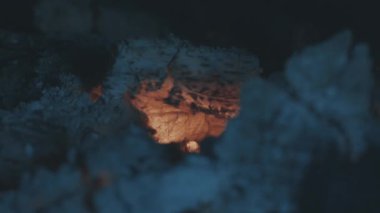 İçin için yanan kömürlerin, ateş ve kül