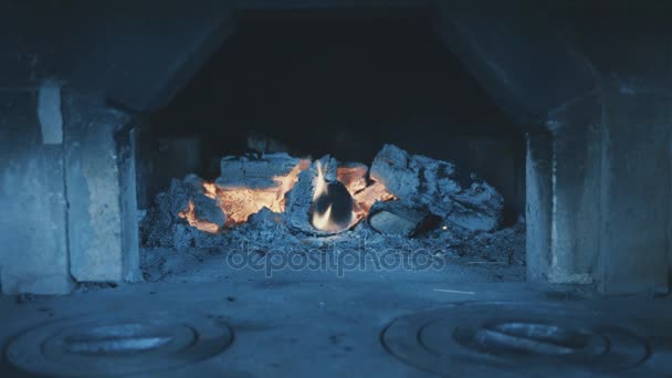 Spalanie drewna w starych tradycyjnego rosyjskiego kuchenka. — Wideo stockowe