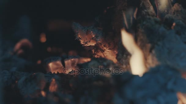 闷烧煤、 火和灰 — 图库视频影像