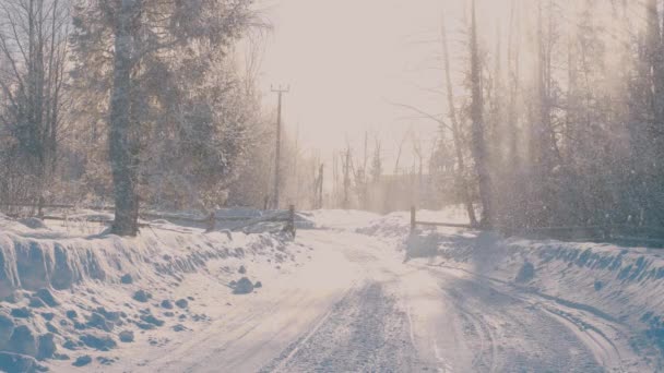 Kış ormanda bir hoarfrost. Kar yağışı. — Stok video