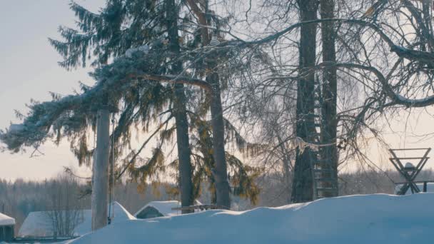 Cour d'hiver dans un givre. Chute de neige. Toits couverts de neige de maisons en bois — Video