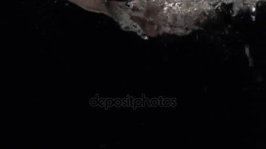 Su altında yüz mans