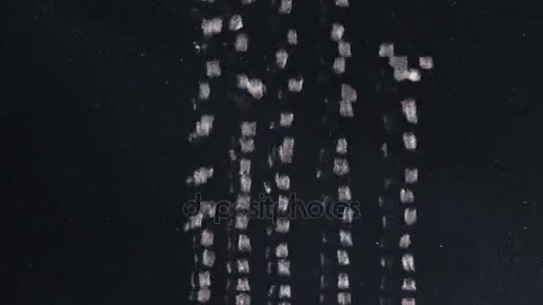 Blasen unter Wasser auf schwarzem Hintergrund — Stockvideo