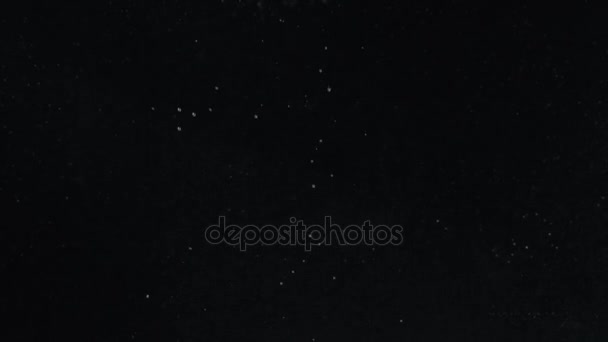 Tomates dans l'eau sur fond noir 