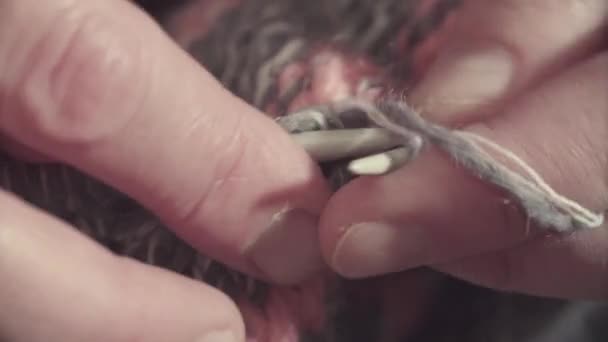 Χέρια πλέξιμο μάλλινο πουλόβερ — Αρχείο Βίντεο