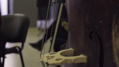 Kontrbas, klasik müzik müzisyen