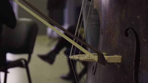 Musiker spelar Kontrabas, klassisk musik — Stockvideo