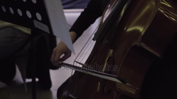 Музыкант играет на виолончели, классическая музыка — стоковое видео