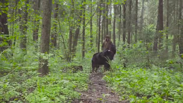 Mujer joven paseando con el perro en el bosque — Vídeos de Stock