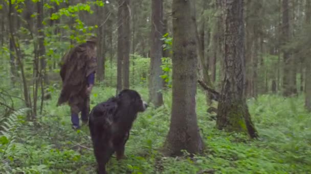 Молодая женщина играет с собакой в лесу — стоковое видео