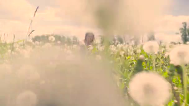 Young woman sitting on the meadow — Stock Video