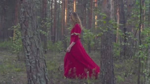 Junge Frau in rotem Kleid spaziert im Wald — Stockvideo