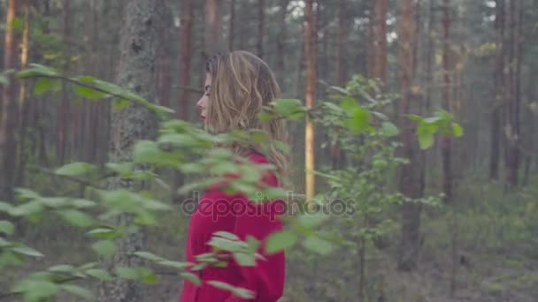 Kırmızı elbiseli genç bir kadın ormanda yürüyor. — Stok video