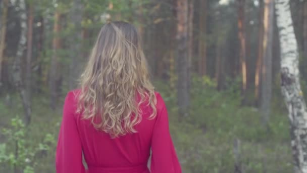 Giovane donna in abito rosso passeggiando nella foresta — Video Stock