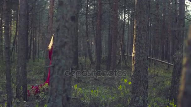 身穿红衣服的年轻女子在森林里散步 — 图库视频影像
