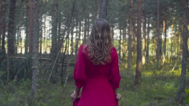 Mujer joven en vestido rojo caminando en el bosque — Vídeo de stock