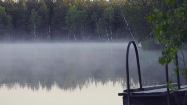 Niebla en el lago del bosque por la mañana . — Vídeos de Stock