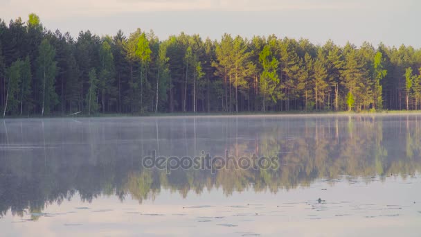 Niebla en el lago del bosque por la mañana . — Vídeos de Stock