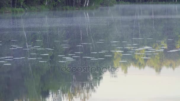 Mist op het bos meer in de ochtend. — Stockvideo