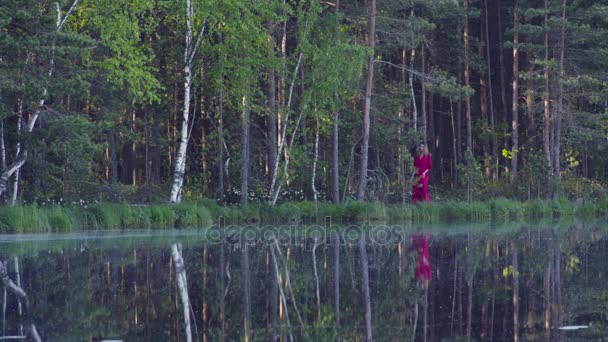Mujer joven caminando en el bosque cerca del lago — Vídeos de Stock