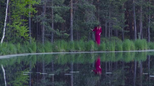 Mujer joven caminando en el bosque cerca del lago — Vídeo de stock