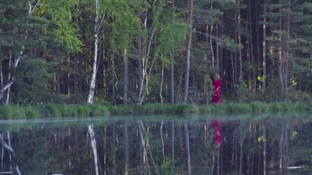 Mujer joven caminando en el bosque cerca del lago — Vídeos de Stock