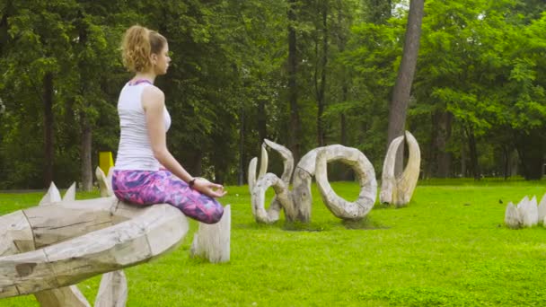 Ung kvinna som tränar yoga i parken — Stockvideo