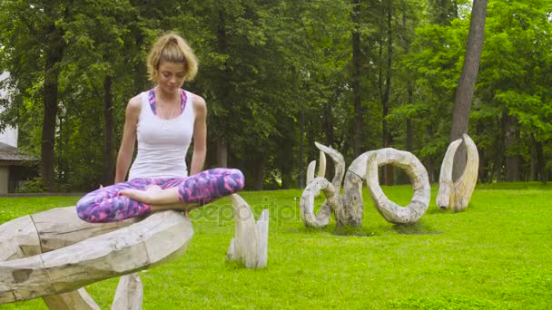 Jonge vrouw doet yoga oefeningen in het park — Stockvideo