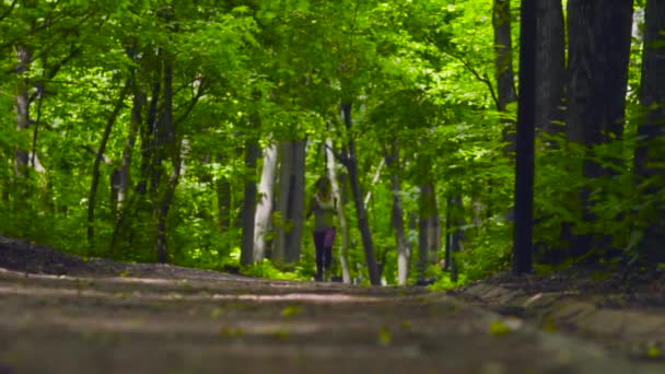 Junge Frau läuft im Park — Stockvideo