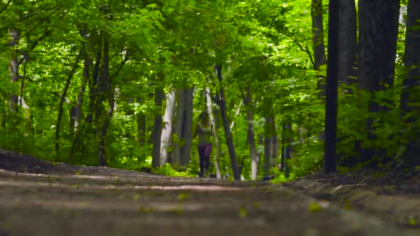 Young woman running in the park — Stock Video