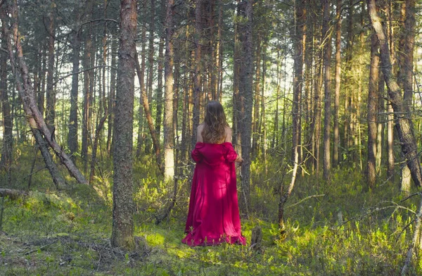 Νεαρή γυναίκα με κόκκινο φόρεμα περπατώντας στο δάσος — Φωτογραφία Αρχείου