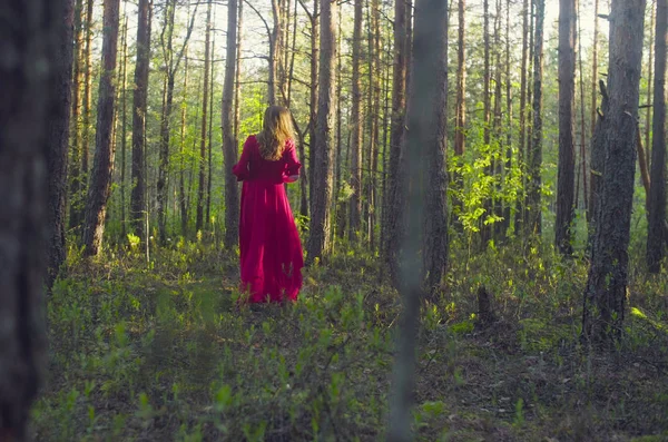 Fiatal nő piros ruhában séta az erdőben — Stock Fotó