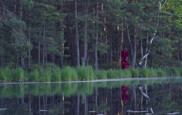 Jovem mulher caminhando na floresta perto do lago — Fotografia de Stock