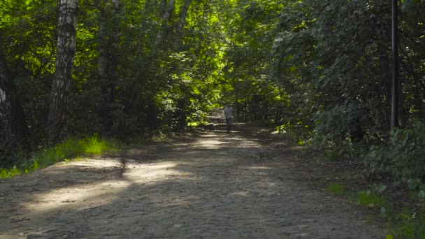 Ein Junge läuft durch Gasse im Park — Stockvideo