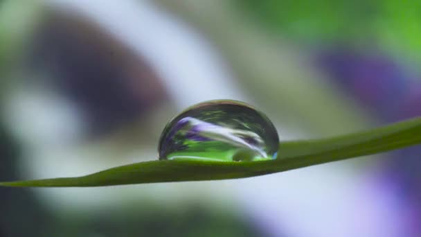 Reflection of woman doing asanas in water drop — Stock Video