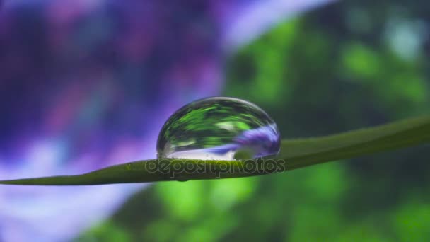 Réflexion de la femme faisant asanas dans la goutte d'eau 