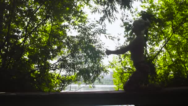 Femeia care face exerciții de yoga împotriva copacilor — Videoclip de stoc