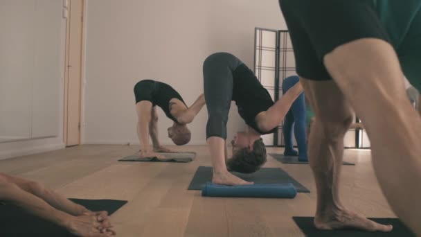 Bir grup insan yoga asanas Studio yapıyor — Stok video