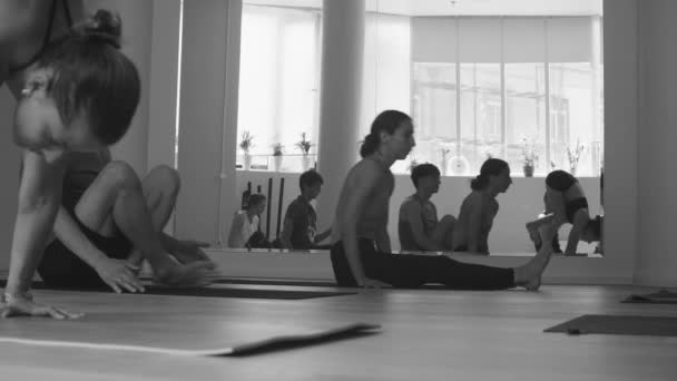Group of people doing yoga asanas in studio — Stock Video