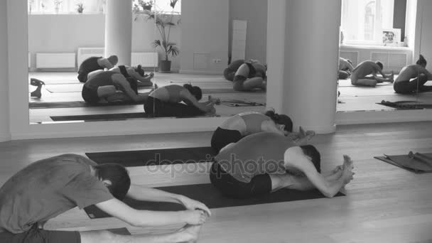 Gruppe von Leuten, die Yoga-Asanas im Studio machen — Stockvideo