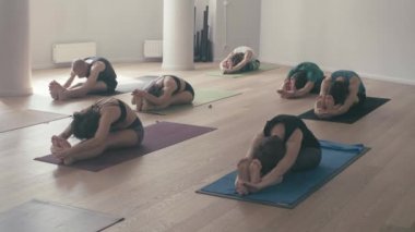 Bir grup insan yoga asanas Studio yapıyor