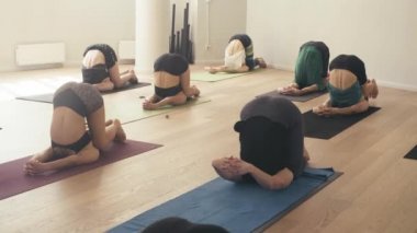 Bir grup insan yoga asanas Studio yapıyor