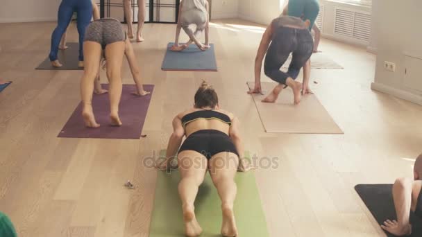 Grupa ludzi robi asan jogi w studio — Wideo stockowe